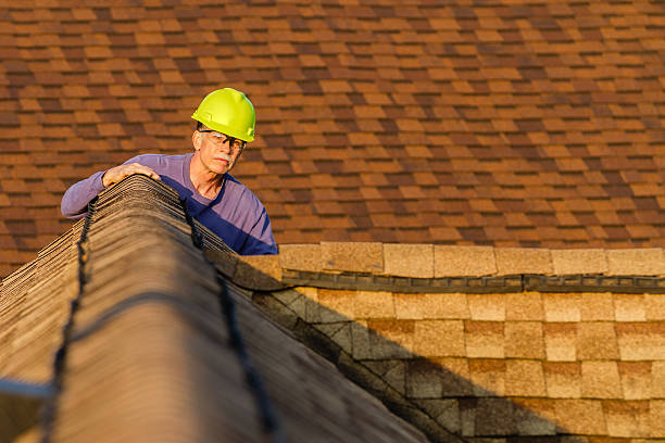 Best Storm Damage Roof Repair  in Celoron, NY